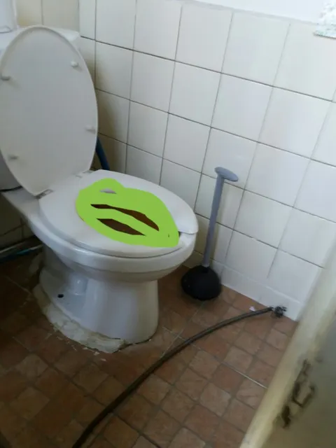 막힌 화장실 변기와 뚫어뻥